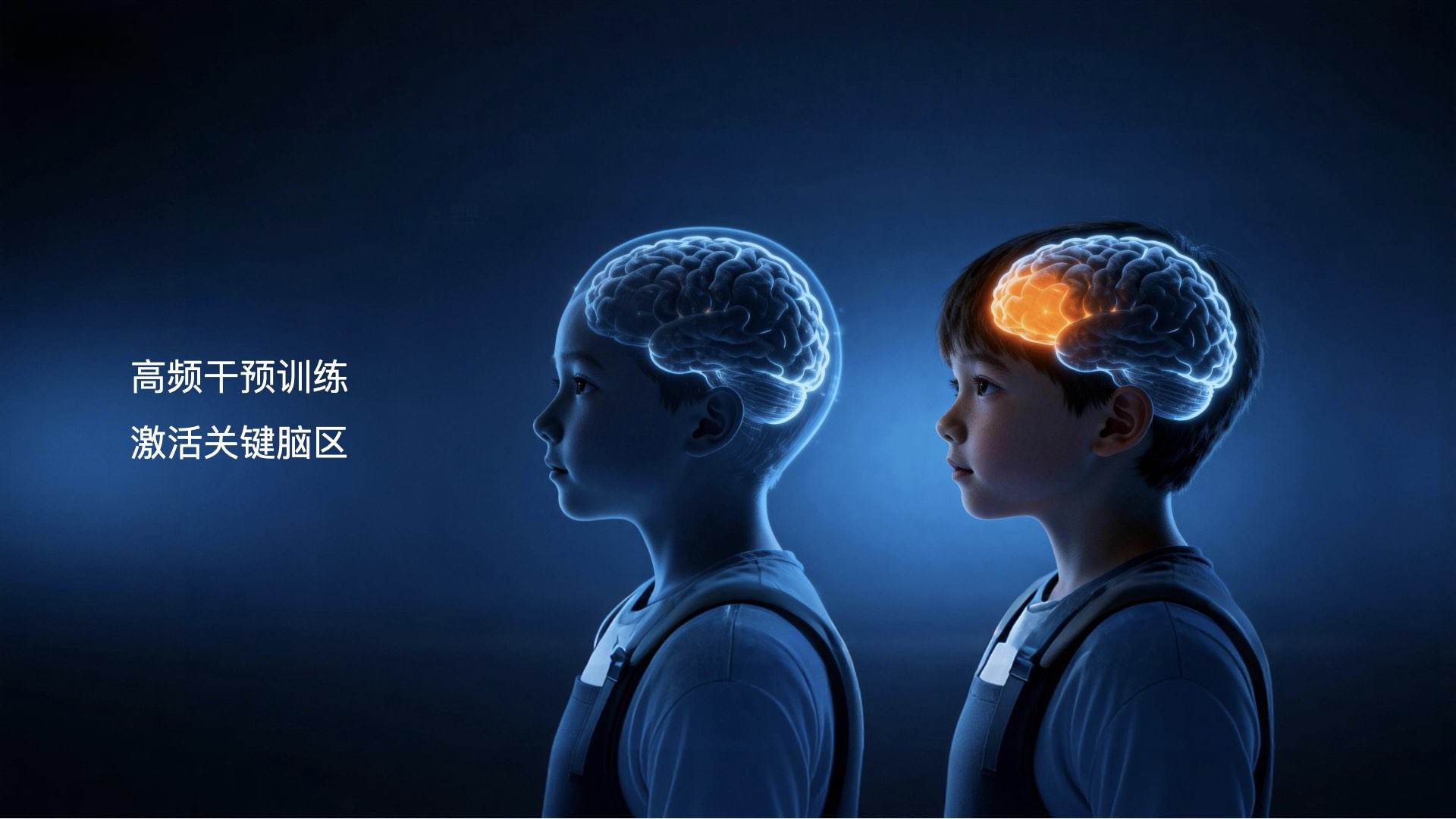 核心脑区激活